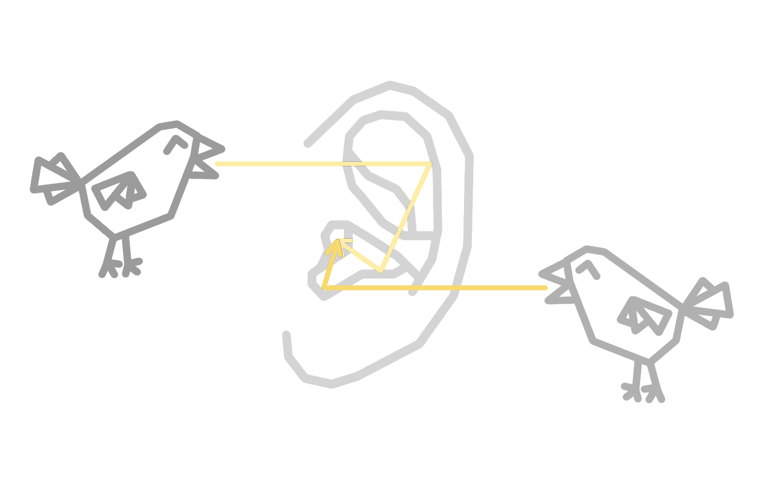 Modulacja dźwięku